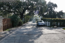Enlarge photo 41