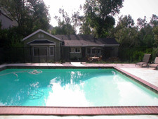 Enlarge photo 37