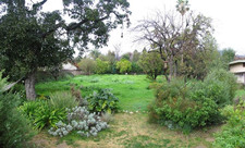 Enlarge photo 31