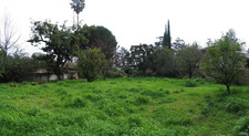 Enlarge photo 32
