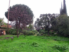 Enlarge photo 33