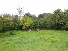 Enlarge photo 34
