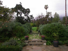 Enlarge photo 35
