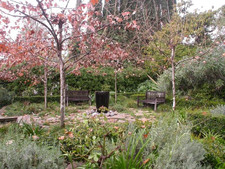 Enlarge photo 37