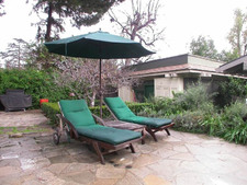 Enlarge photo 42