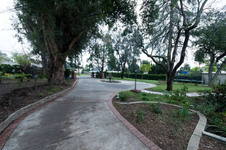 Enlarge photo 9