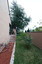 Enlarge photo 76