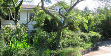 Enlarge photo 29