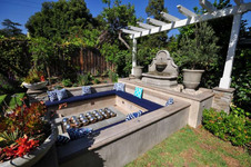 Enlarge photo 62