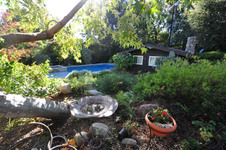 Enlarge photo 65
