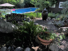 Enlarge photo 67