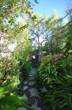 Enlarge photo 75