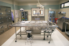 Capital Arts Morgue