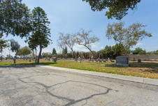 Enlarge photo 70