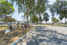 Enlarge photo 71