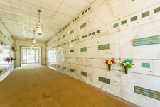Enlarge photo 79