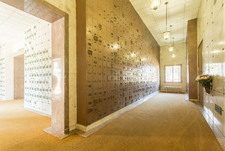 Enlarge photo 82