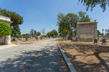 Enlarge photo 90