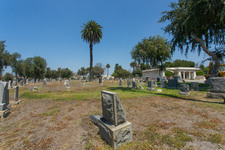Enlarge photo 92