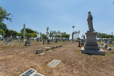 Enlarge photo 93