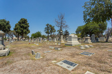 Enlarge photo 94