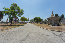 Enlarge photo 96