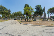 Enlarge photo 97