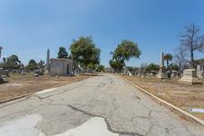 Enlarge photo 98