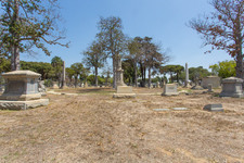 Enlarge photo 100