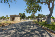Enlarge photo 102