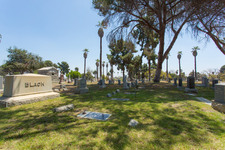 Enlarge photo 103