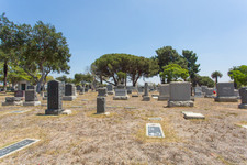 Enlarge photo 105