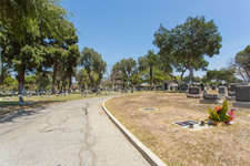 Enlarge photo 106