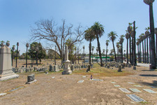 Enlarge photo 107