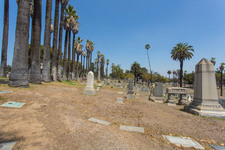Enlarge photo 108