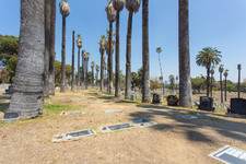 Enlarge photo 109