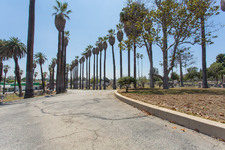 Enlarge photo 110