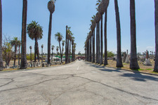 Enlarge photo 111
