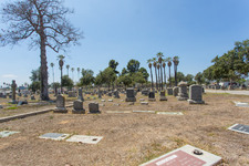 Enlarge photo 113