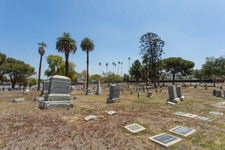 Enlarge photo 114