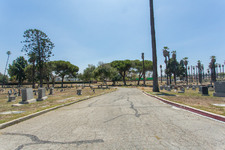 Enlarge photo 115
