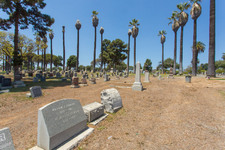 Enlarge photo 116