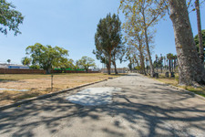 Enlarge photo 117