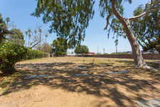 Enlarge photo 118