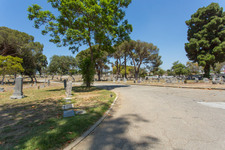 Enlarge photo 119