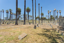 Enlarge photo 121