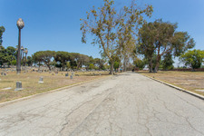 Enlarge photo 124