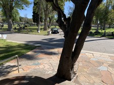 Enlarge photo 56