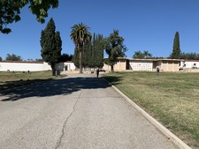 Enlarge photo 91
