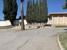 Enlarge photo 97